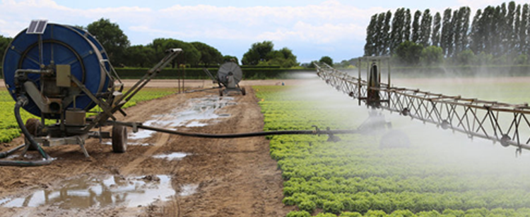 vízjogi fennmaradási engedély a mezőgazdaságban