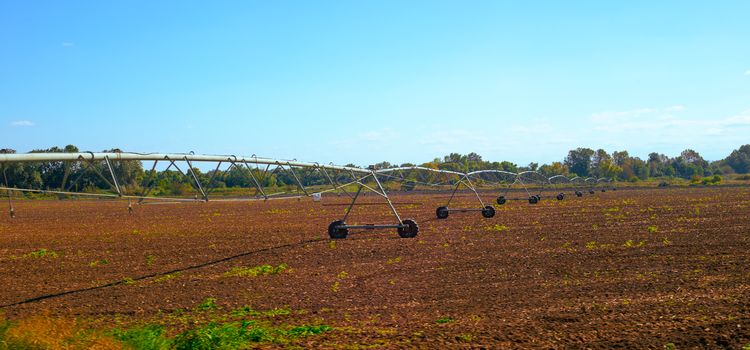 szántóföldi mikroszórófejes öntözés